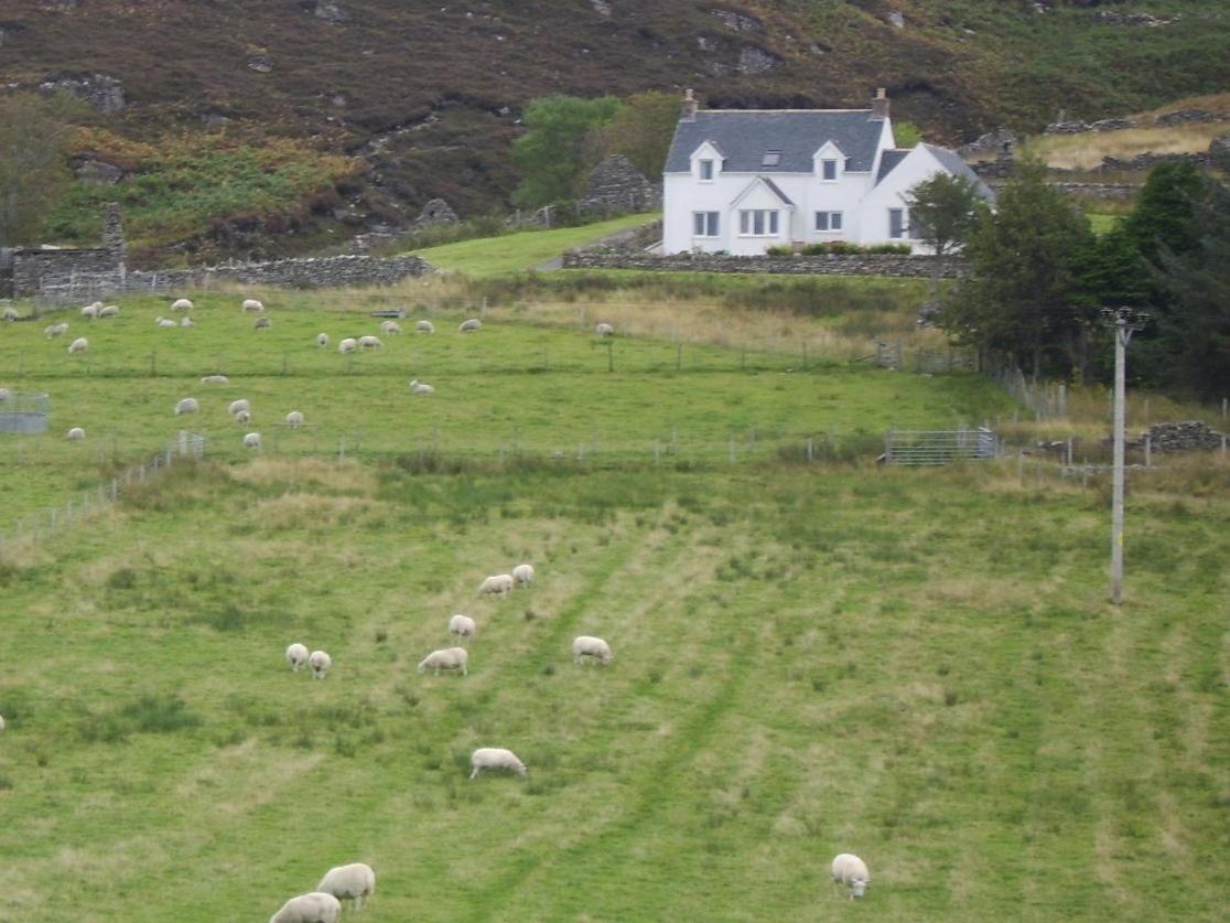 Top House Ullapool Room photo